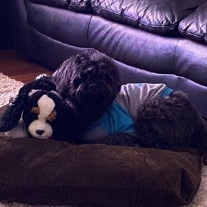 Meet your Posher, Beth